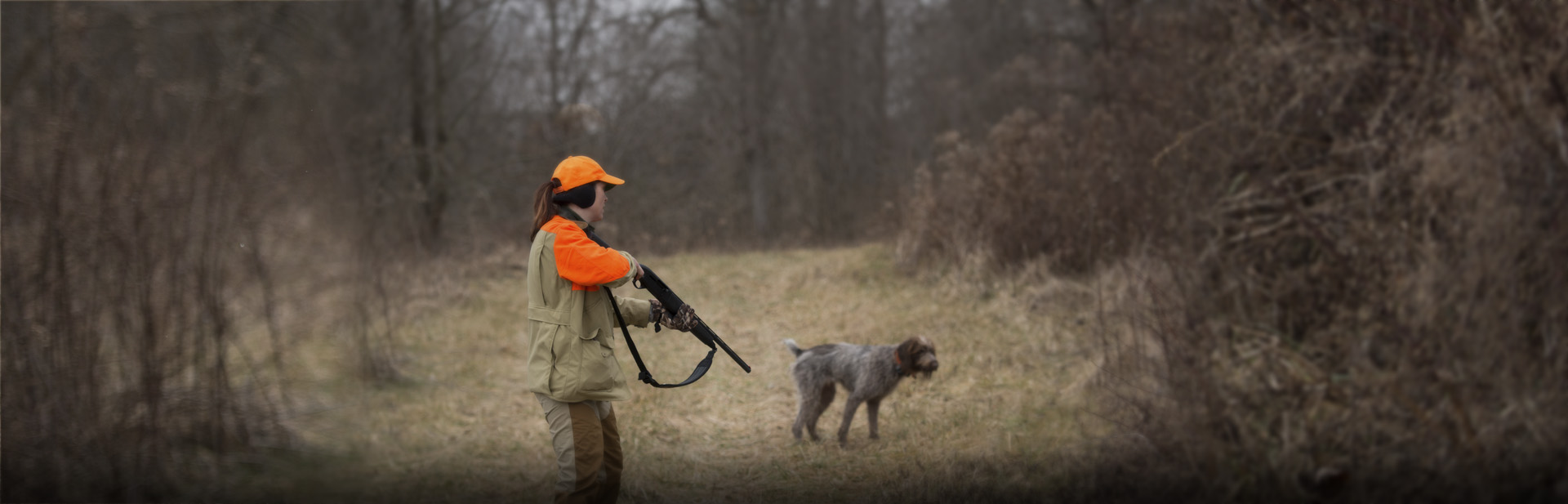 Bobwhite Quail - Kentucky Department of Fish & Wildlife